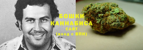 твердый Осинники