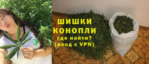 дживик Осташков