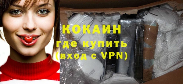твердый Осинники