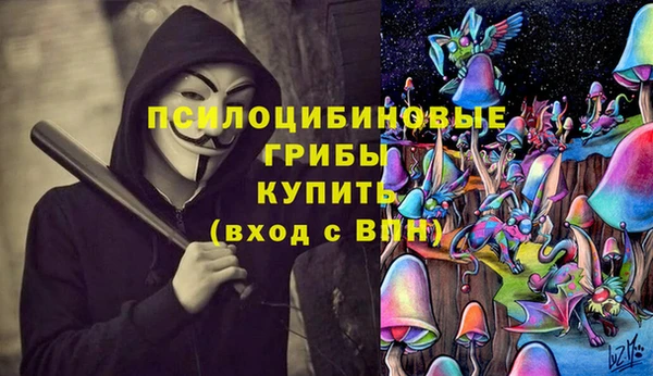 гашик Иннополис