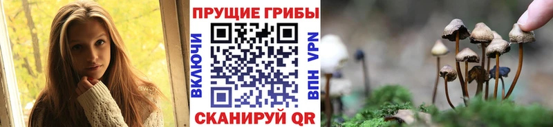 Псилоцибиновые грибы Cubensis  дарк нет формула  Амурск 