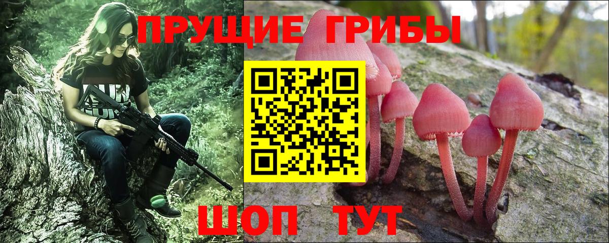 Амурск  Псилоцибиновые грибы мухоморы  Псилоцибиновые грибы мицелий  Вход с VPN 