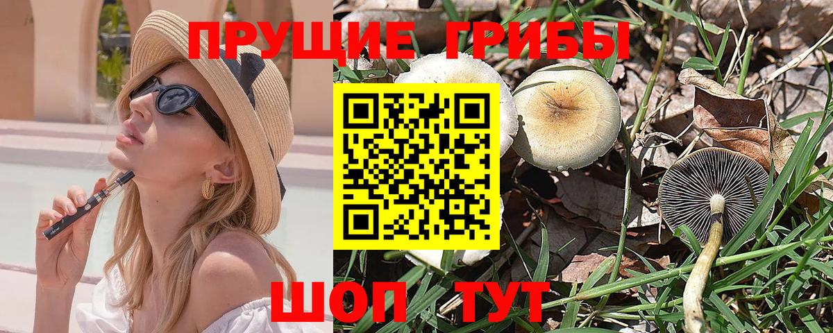 Галлюциногенные грибы MAGIC MUSHROOMS  Галлюциногенные грибы мухоморы  Амурск 